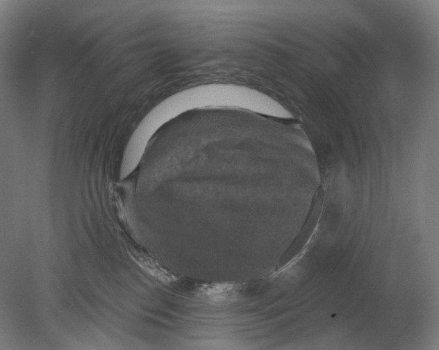 X0000080150186200701051549