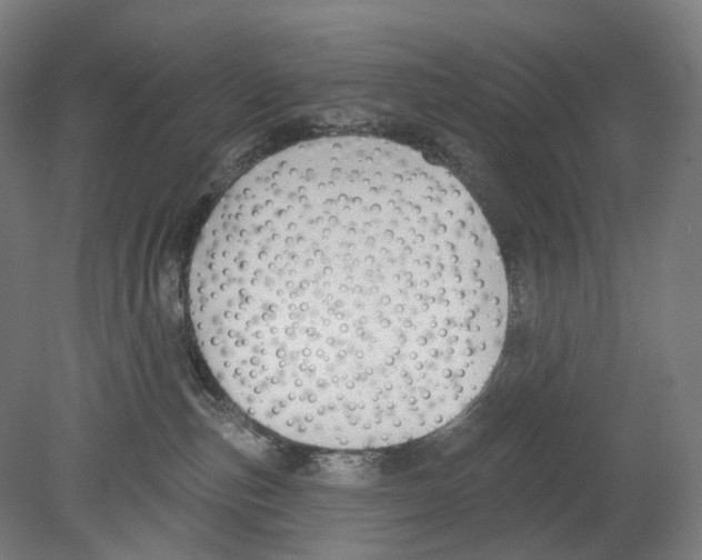 X0000080150187200701051549
