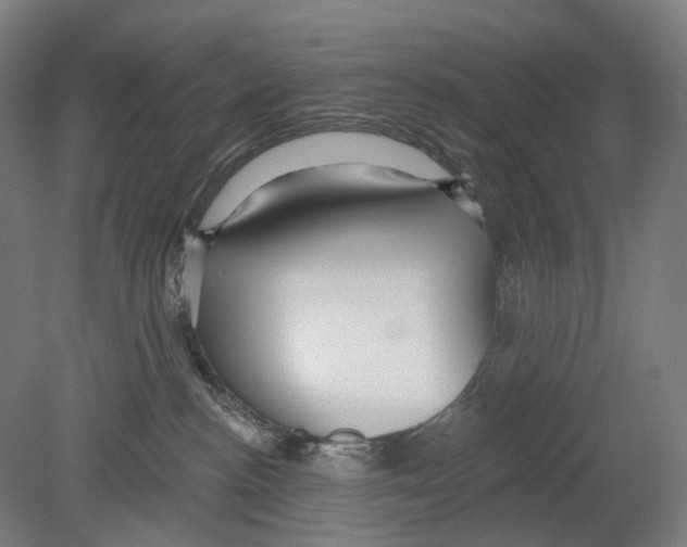 X0000080150188200701051549