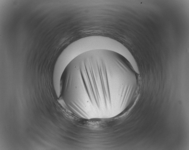 X0000080150190200701051549