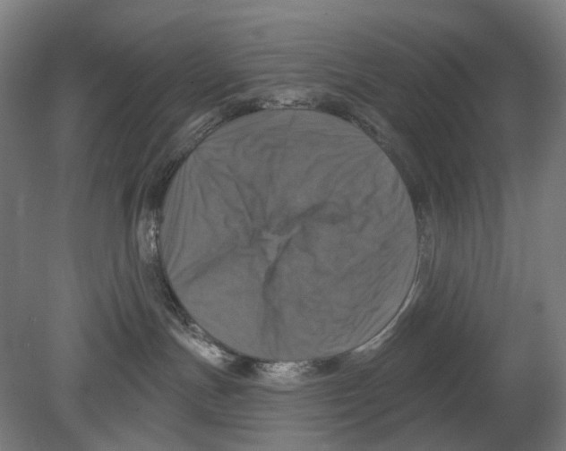 X0000080150191200701051549