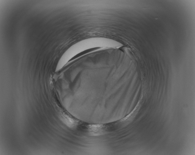 X0000080150192200701051549