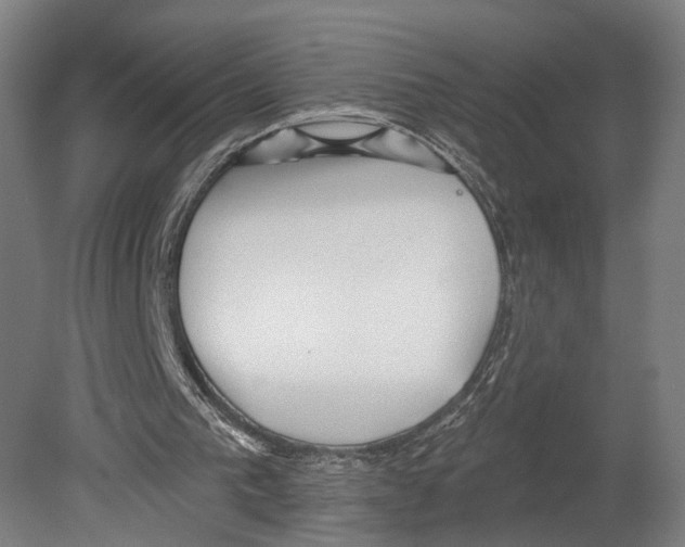 X0000080150193200701051548
