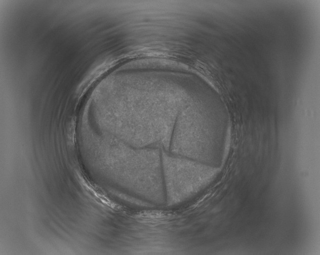X0000080150194200701051548