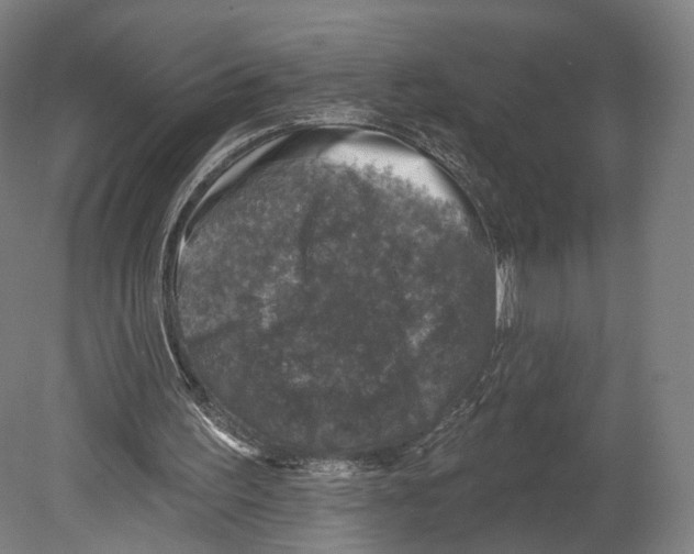 X0000080150195200701051548