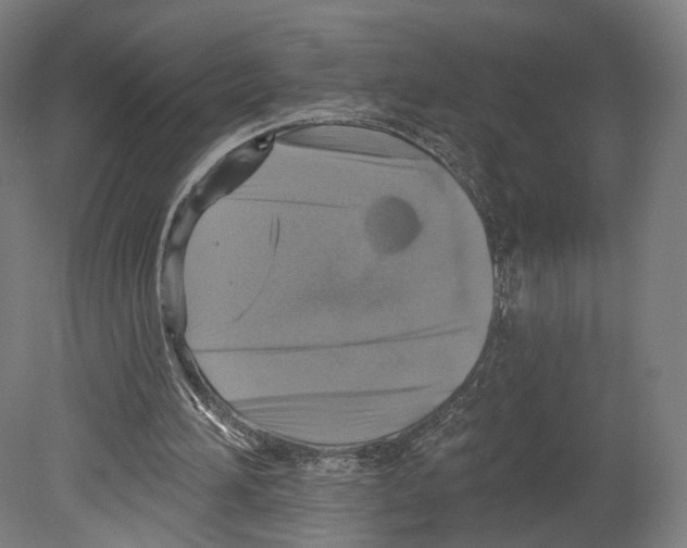 X0000080150196200701051548