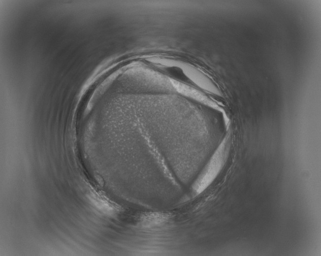 X0000080150198200701051548