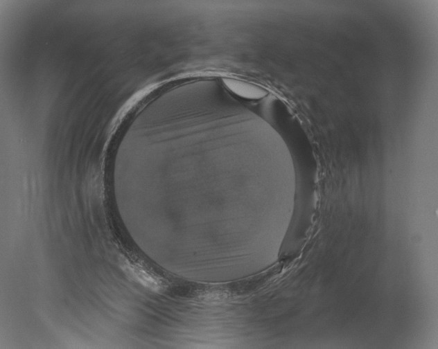 X0000080150200200701051548