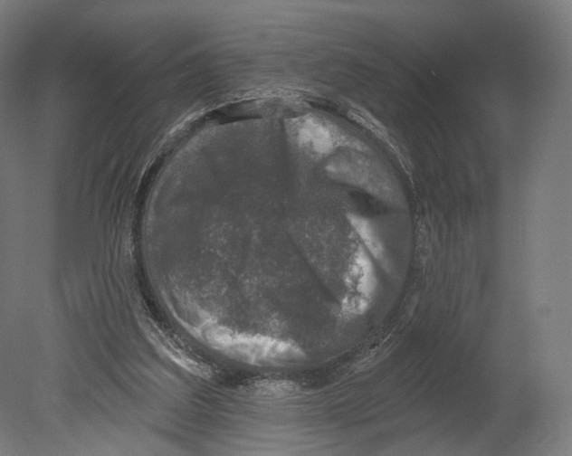 X0000080150203200701051548