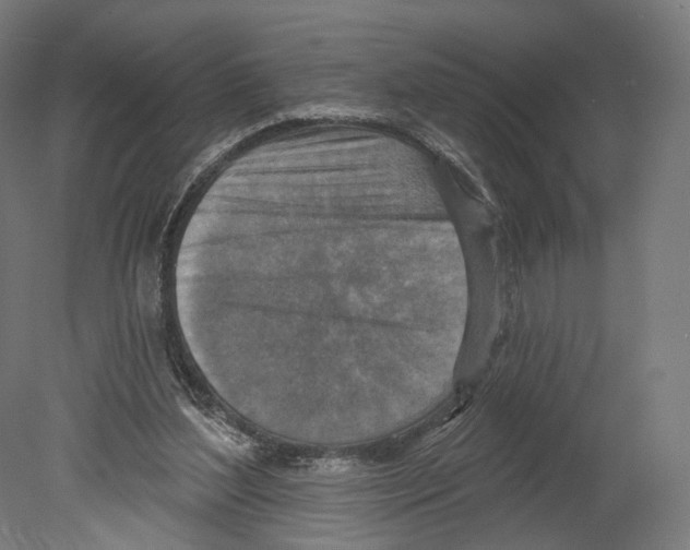 X0000080150204200701051548