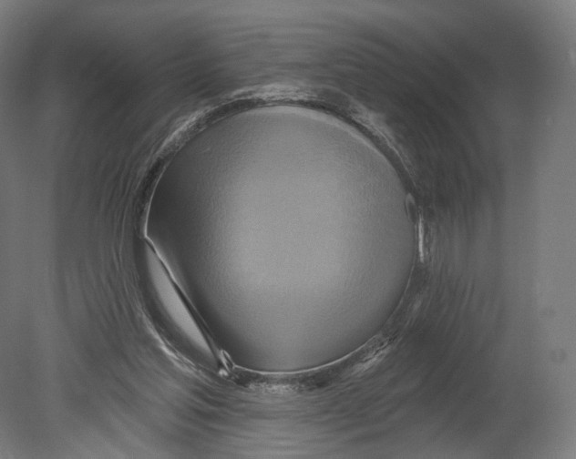 X0000080150205200701051548