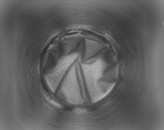 X0000080150207200701051548