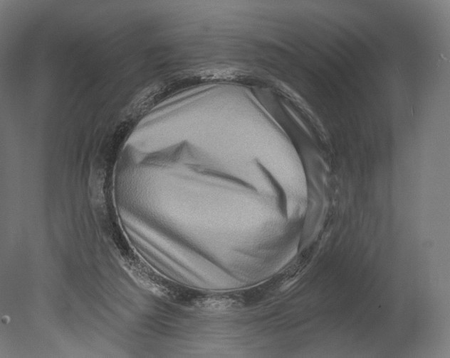 X0000080150209200701051548