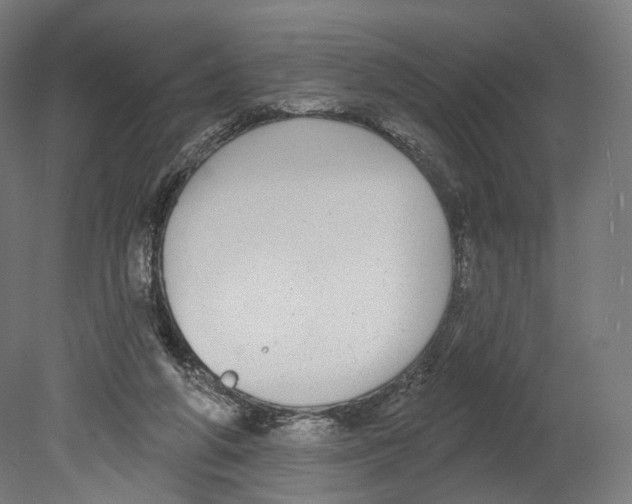 X0000080150210200701051548