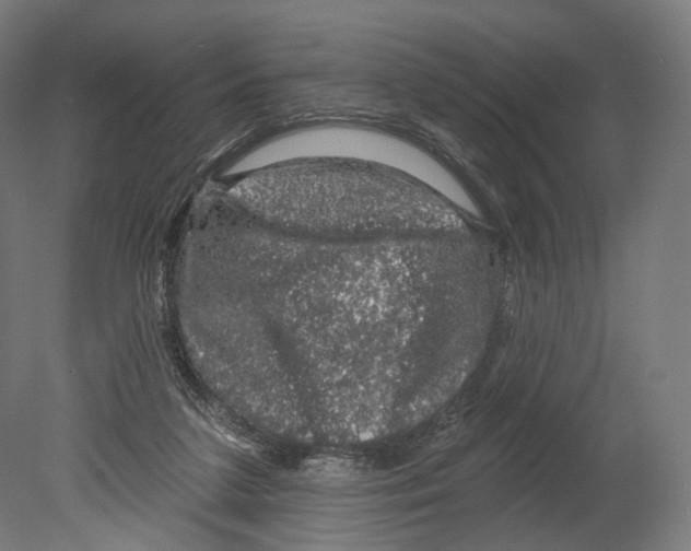 X0000080150211200701051548