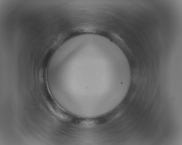 X0000080150213200701051548