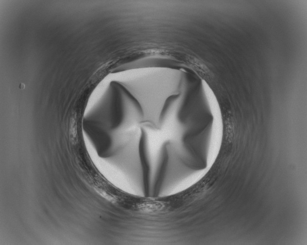 X0000080150215200701051548