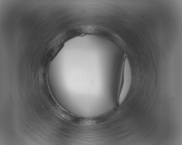 X0000080150217200701051548