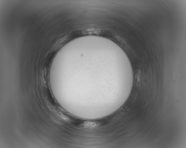 X0000080150218200701051548