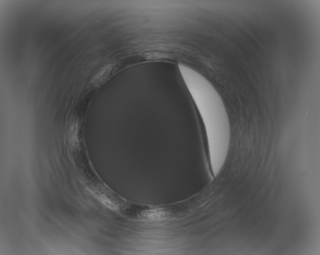 X0000080150219200701051548
