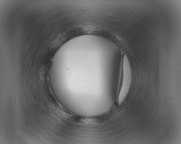 X0000080150221200701051548