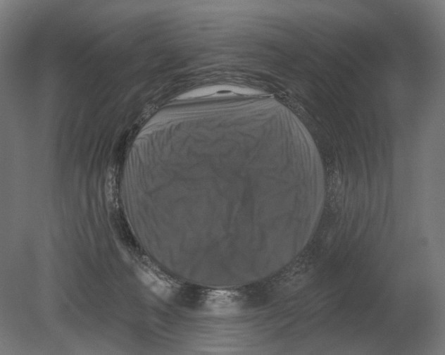 X0000080150222200701051548