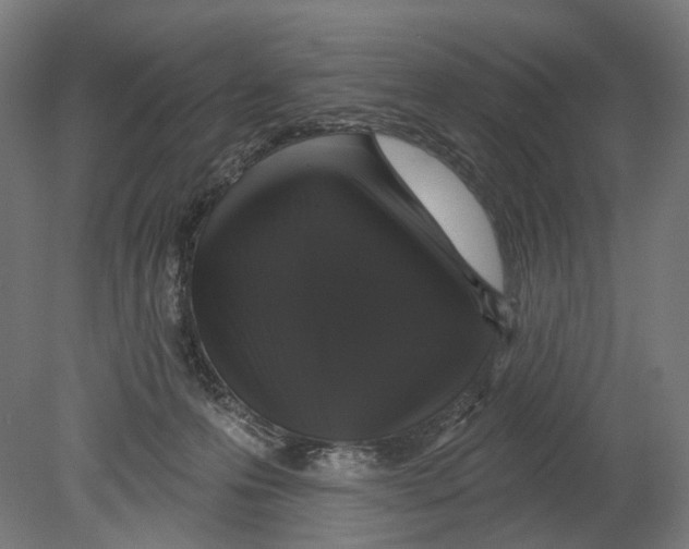 X0000080150223200701051548