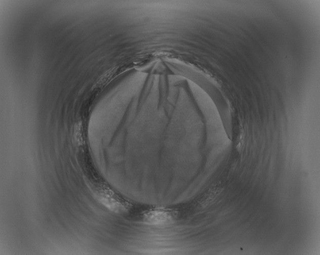 X0000080150224200701051548