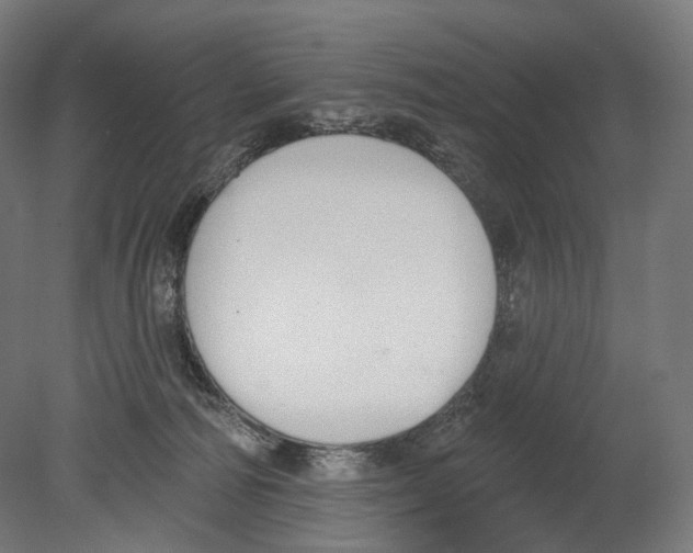 X0000080150226200701051548