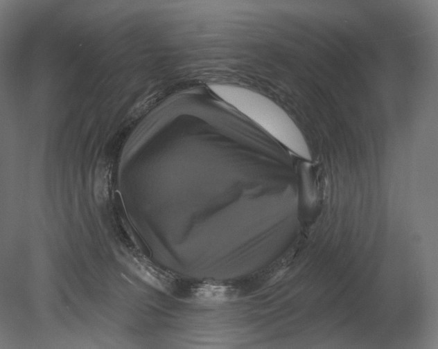 X0000080150227200701051547