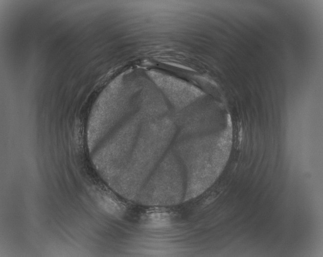 X0000080150228200701051547
