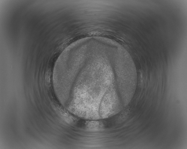 X0000080150230200701051547