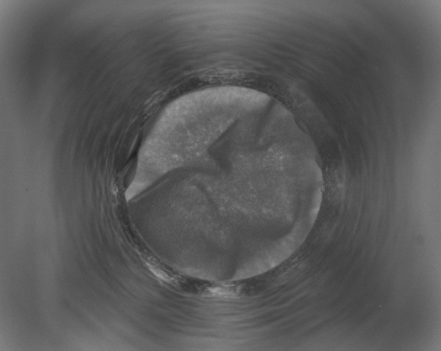 X0000080150232200701051547