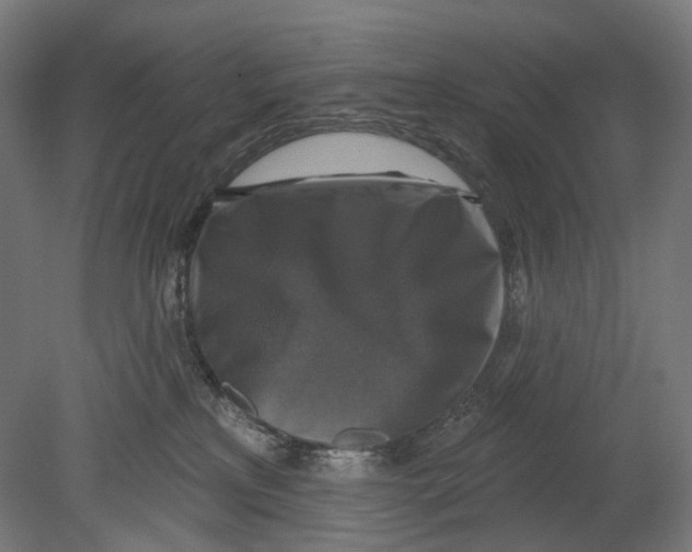 X0000080150233200701051547