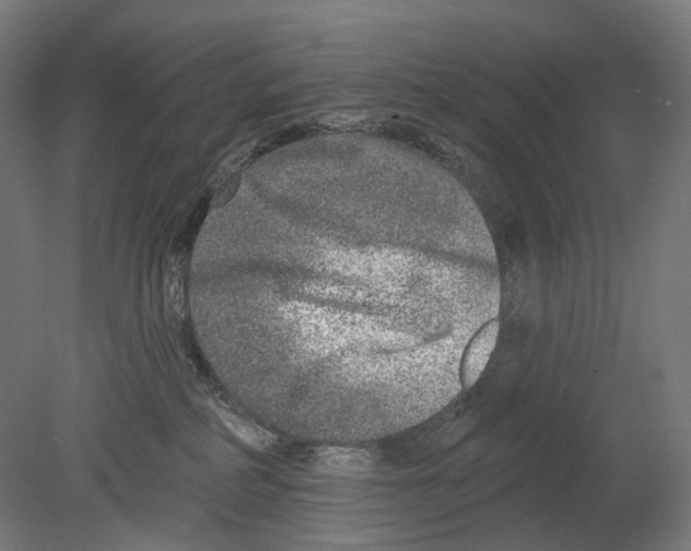 X0000080150234200701051547