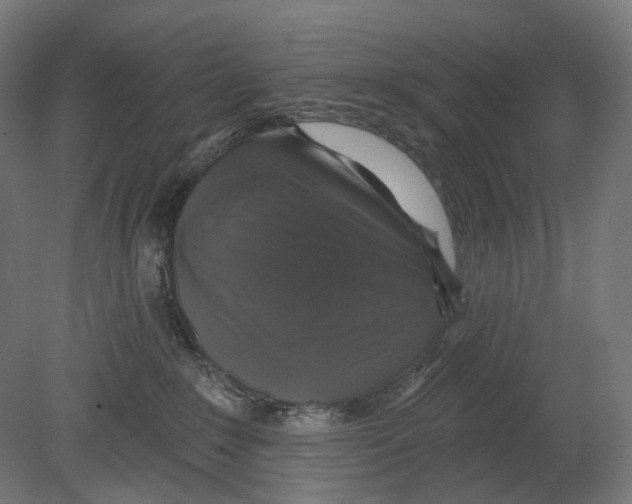X0000080150235200701051547