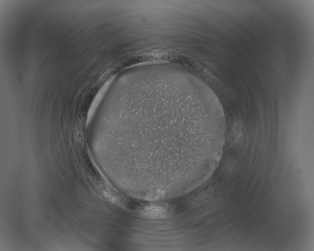 X0000080150236200701051547