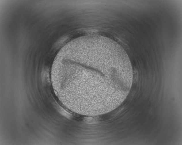 X0000080150238200701051547