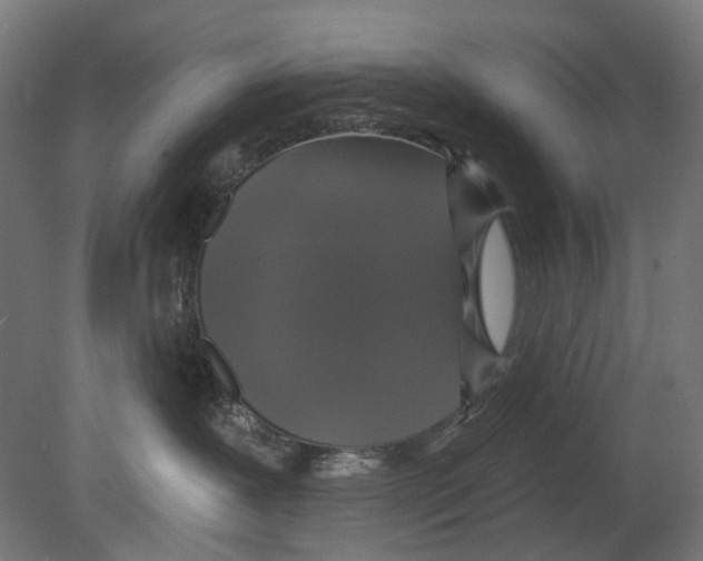 X0000080150239200701051547