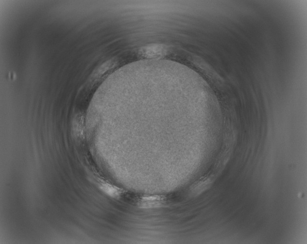 X0000080150240200701051547