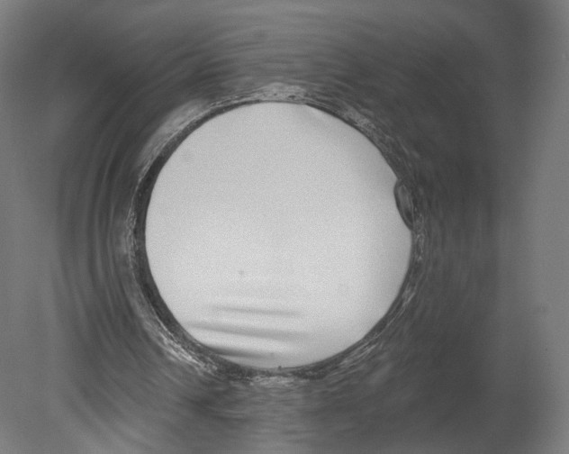 X0000080150242200701051546
