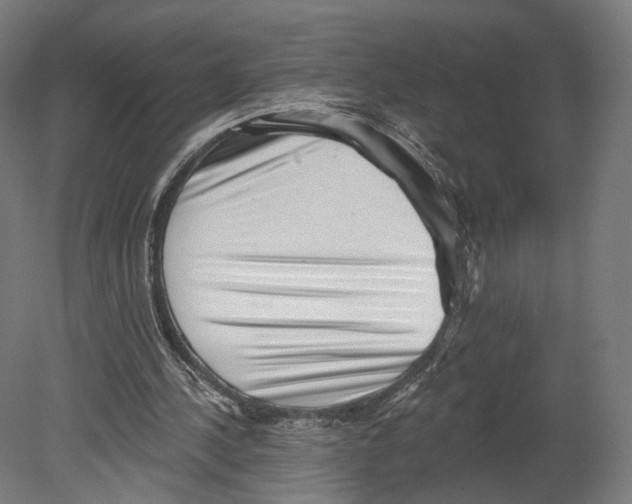 X0000080150244200701051547