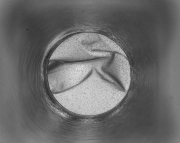 X0000080150246200701051547