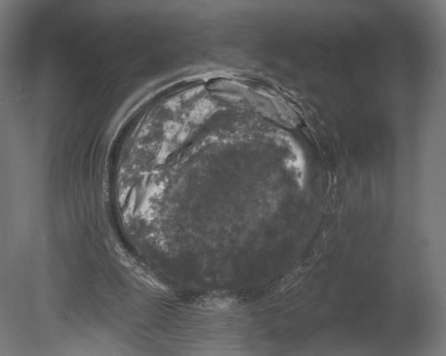 X0000080150247200701051547