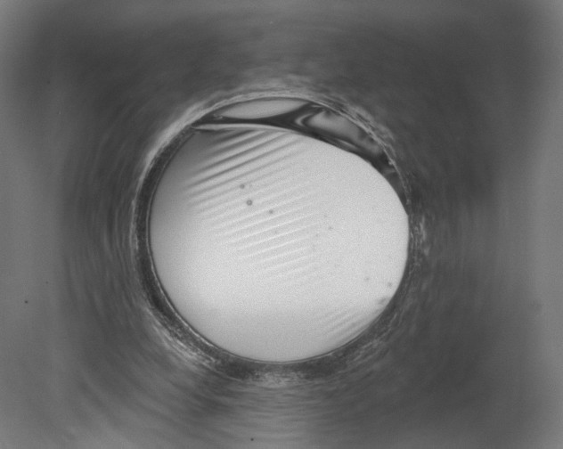 X0000080150248200701051547