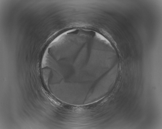 X0000080150249200701051547