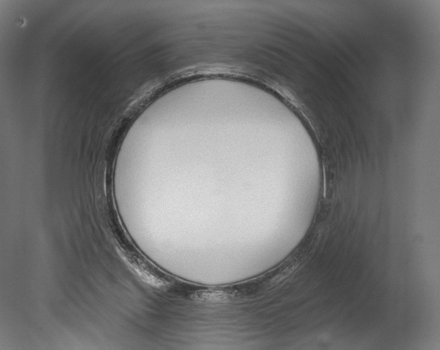 X0000080150253200701051547