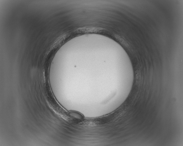 X0000080150254200701051547
