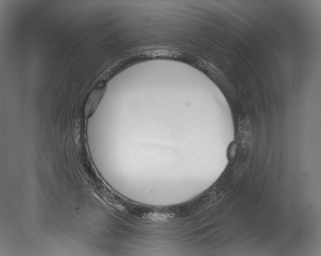 X0000080150255200701051547