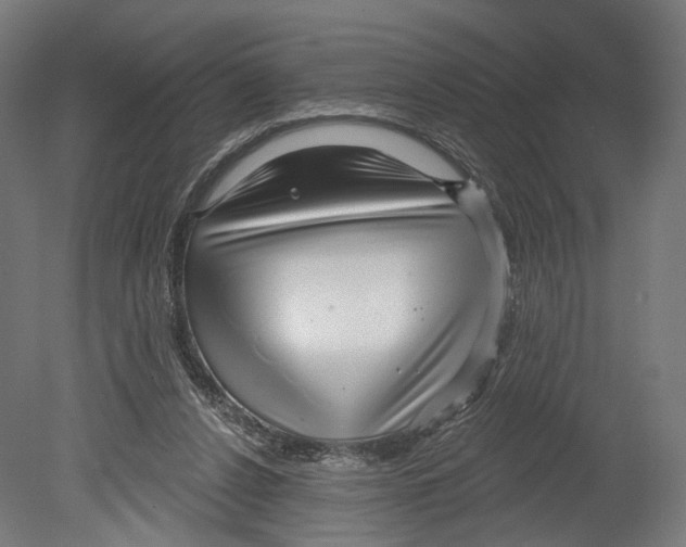 X0000080150256200701051547